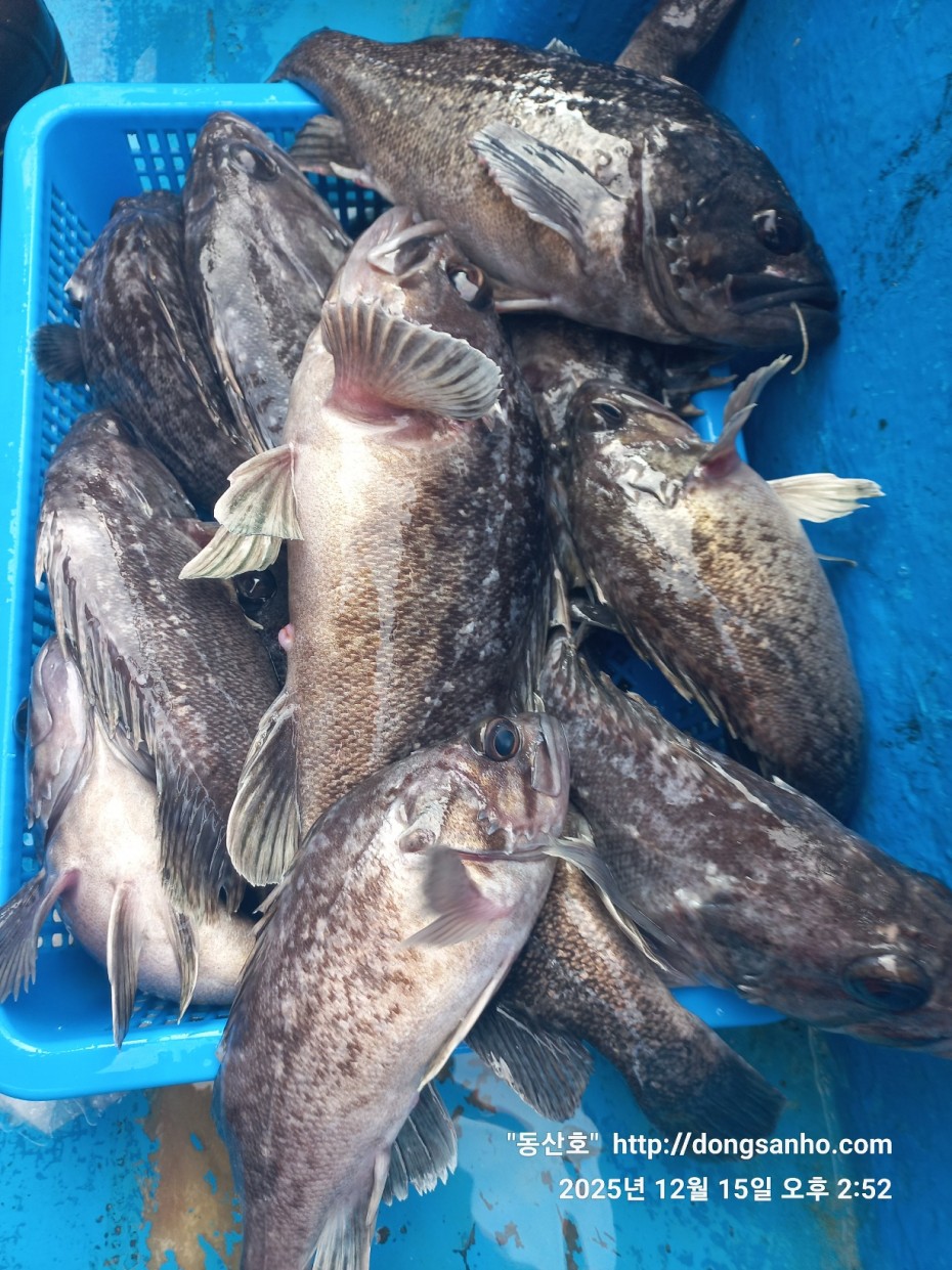 ee45a88a83aca2ba31c9307ad485821f_1765976