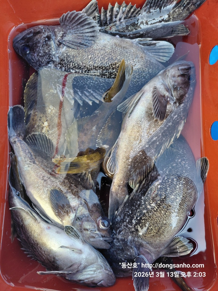 6c667cfeaa89cca1d0cf4a238b82321d_1773614