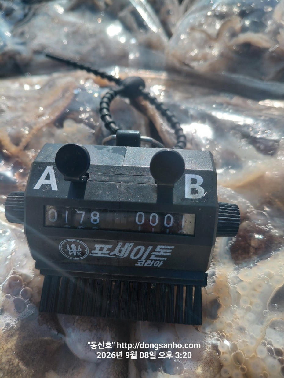 ff4bfee18af14307ab41bc8a74db45d1_1788985